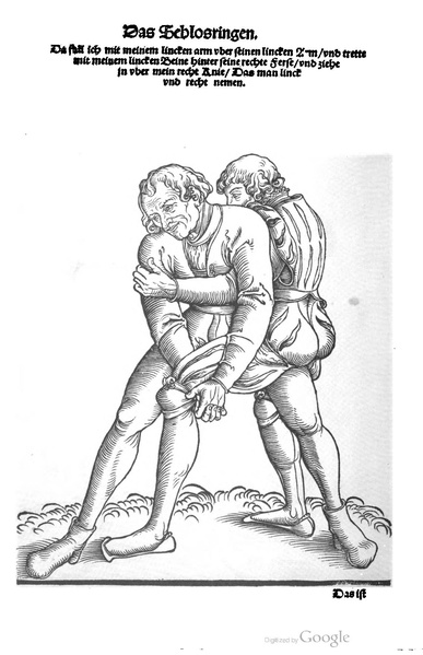 File:Ringer Kunst (Fabian von Auerswald) 1539.pdf