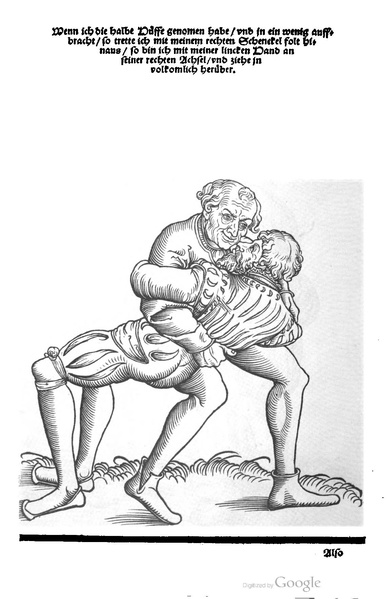 File:Ringer Kunst (Fabian von Auerswald) 1539.pdf