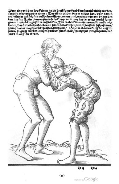 File:Ringer Kunst (Fabian von Auerswald) 1539.pdf