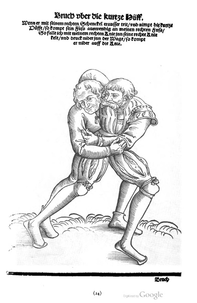 File:Ringer Kunst (Fabian von Auerswald) 1539.pdf