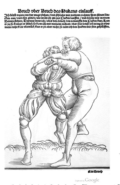 File:Ringer Kunst (Fabian von Auerswald) 1539.pdf