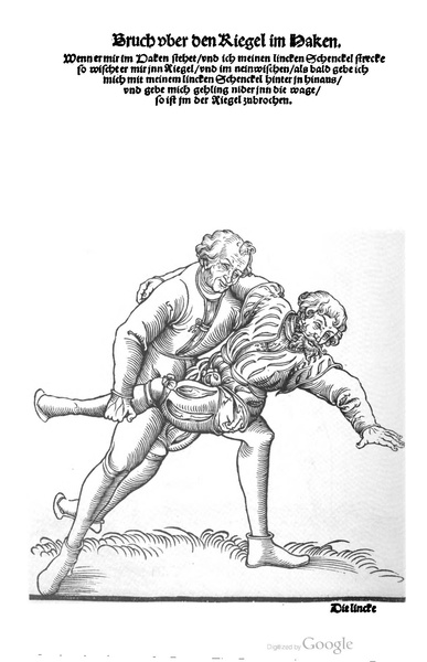 File:Ringer Kunst (Fabian von Auerswald) 1539.pdf