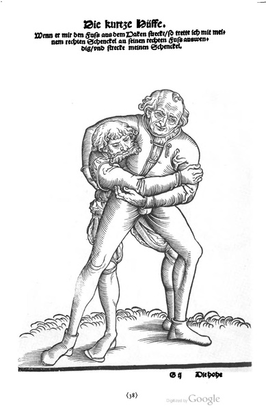 File:Ringer Kunst (Fabian von Auerswald) 1539.pdf