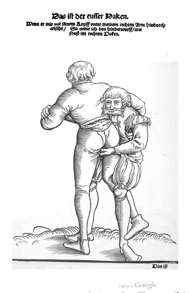 File:Ringer Kunst (Fabian von Auerswald) 1539.pdf