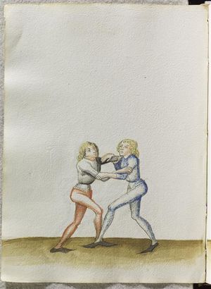 MS CL23842 103v.jpg