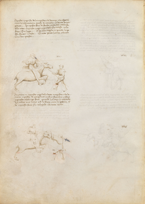 MS M.383 8v.png
