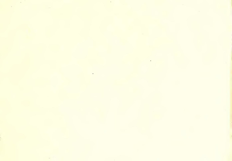 File:Scola, overo teatro (Nicoletto Giganti) 1628.pdf