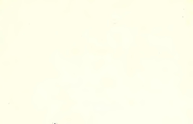 File:Scola, overo teatro (Nicoletto Giganti) 1628.pdf