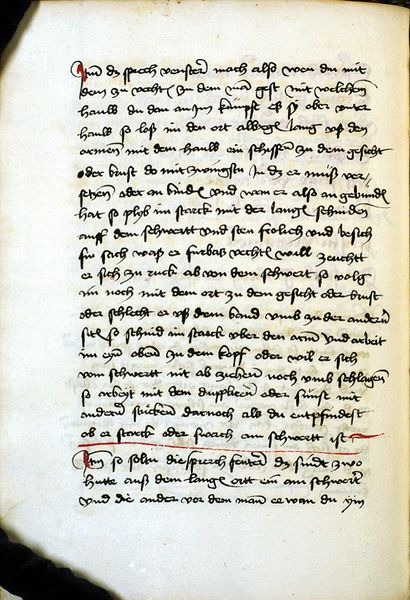 File:MS M.I.29 041v.jpg