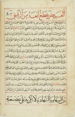 MS Arabe 2824 71v.jpg