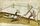 MS Thott.290.2º 123v.jpg