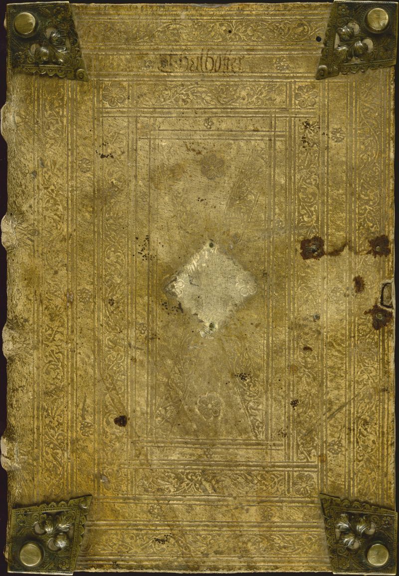 MS Thott.290.2º Cover 1.jpg