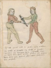 MS BPL.3281 06r.jpg