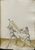 MS CL23842 181r.jpg