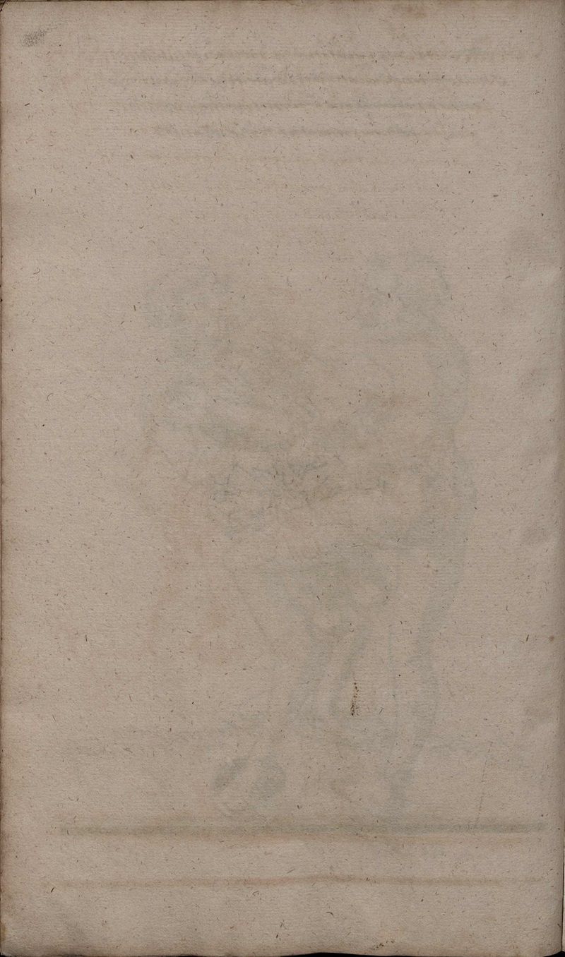 2º Cod.MS.Philos.62 86v.jpg