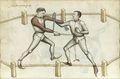 MS Thott.290.2º 070v.jpg