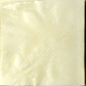 MS U860.F46 1450 IIIv.jpg