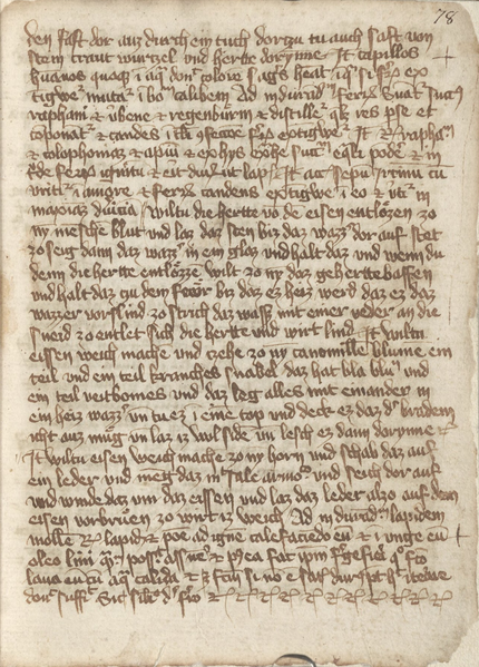 File:Cgm 824 78r.png