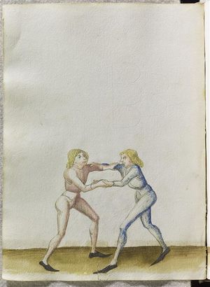 MS CL23842 105v.jpg