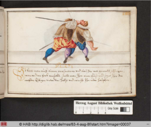 Cod.Guelf.83.4 Aug.8º 015r.png