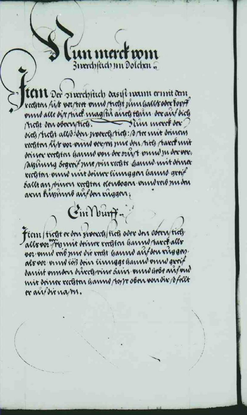 Cod.10825 266v.jpg