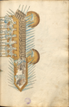 MS B.26 072r.png