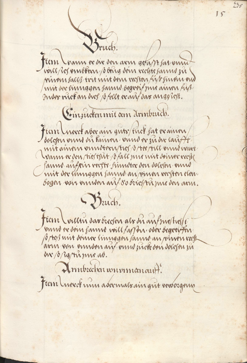 Cod.10825 238r.png