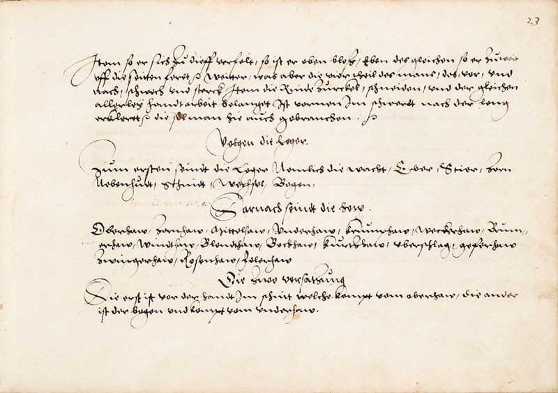 File:MS Bibl. 2465 023r.jpg