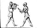 Cod.11093 33v.jpg