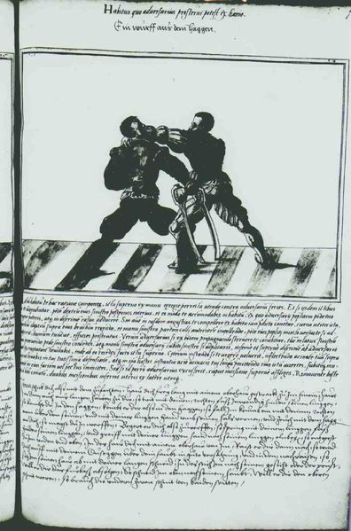 File:Cod.10825 126r.jpg