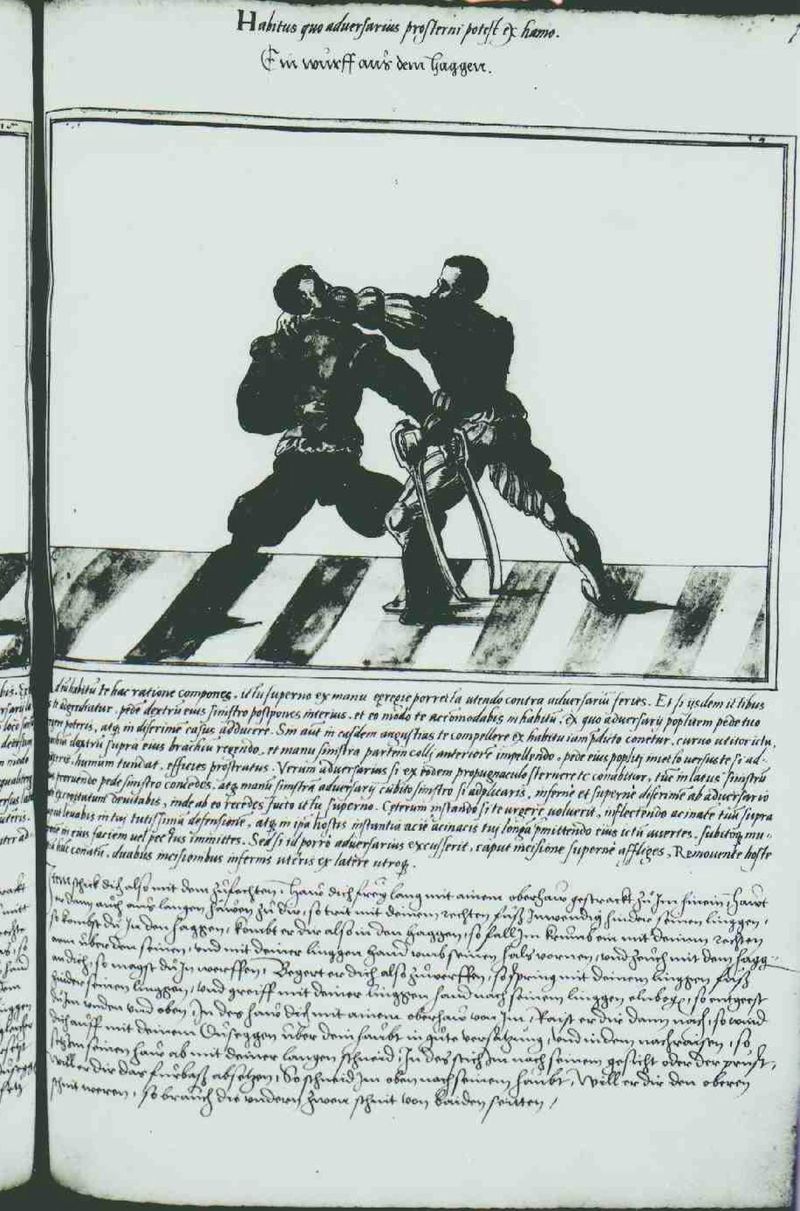 Cod.10825 126r.jpg