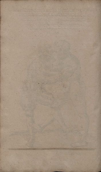 File:2º Cod.MS.Philos.62 80v.jpg