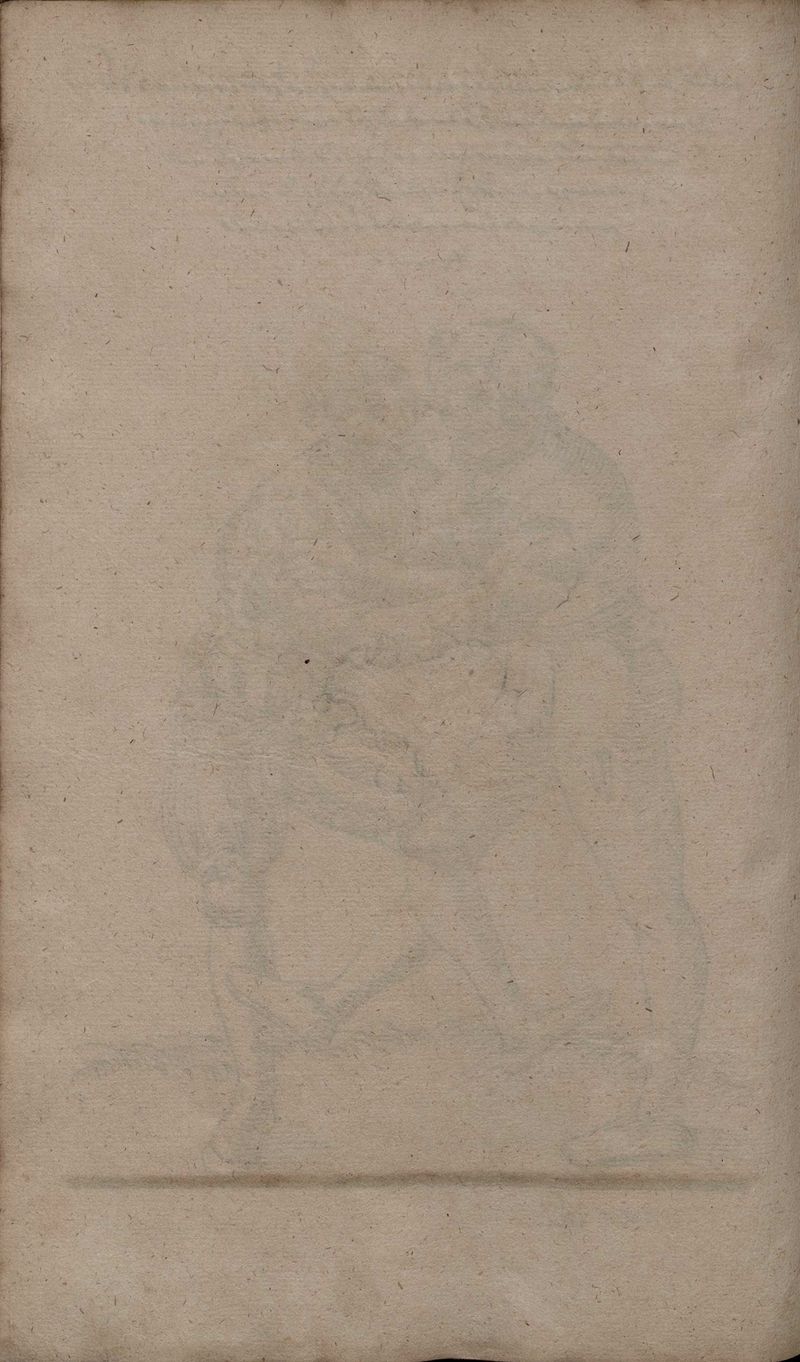 2º Cod.MS.Philos.62 80v.jpg