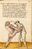 Cod.I.6.4º.2 41r.jpg