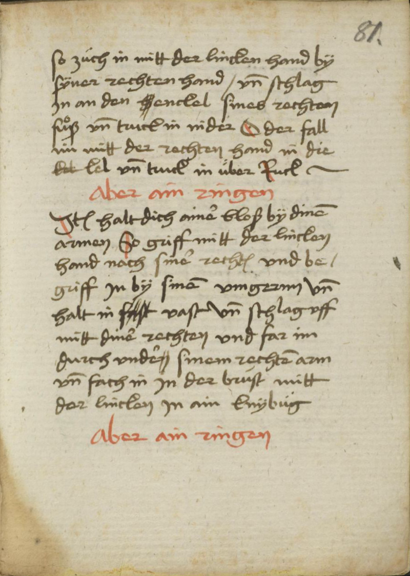 MS Dresd.C.487 081r.png