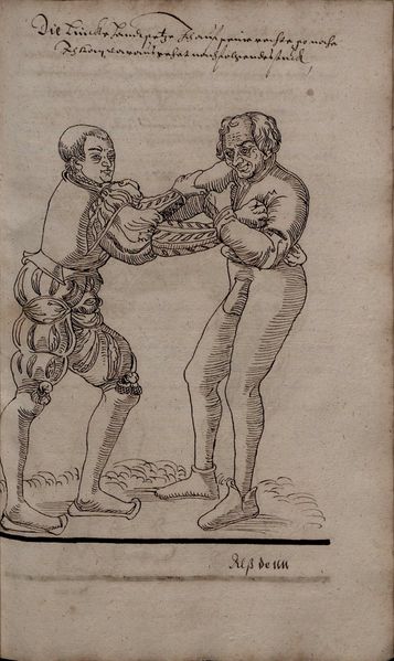 File:2º Cod.MS.Philos.62 35r.jpg