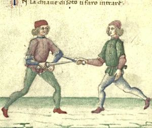 Cod.1324 31r-a.jpg