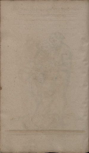 2º Cod.MS.Philos.62 84v.jpg