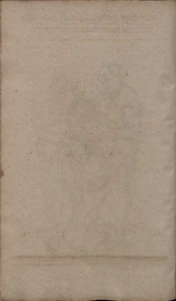 File:2º Cod.MS.Philos.62 84v.jpg