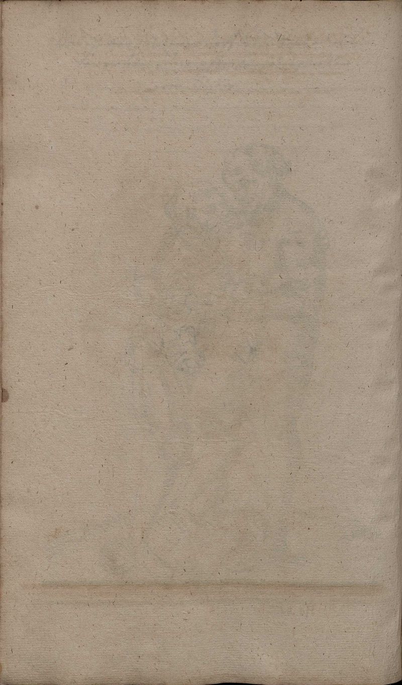 2º Cod.MS.Philos.62 84v.jpg